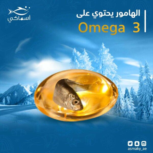 تصميم بوست سوشيال ميديا - Image 10